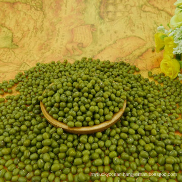 Hot sale!Small green mung bean,2.8-4.0mm types,best qualtiy